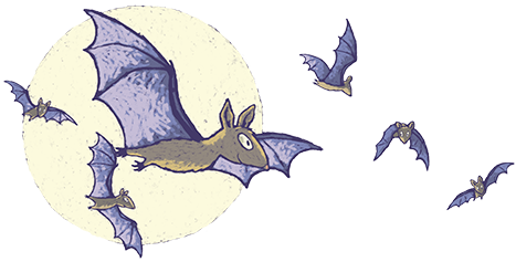 Bats against the moon illustration