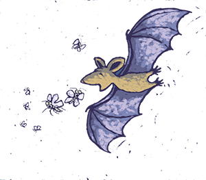 Illustrated bat catching insects