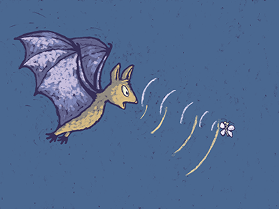 Illustrated bat using echolocation