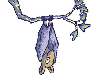 Illustrated bat hanging from a tree