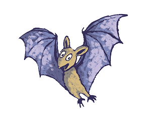 An illustrated bat called Ciara